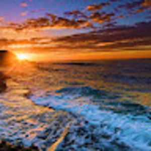 Meet your Posher, Ava